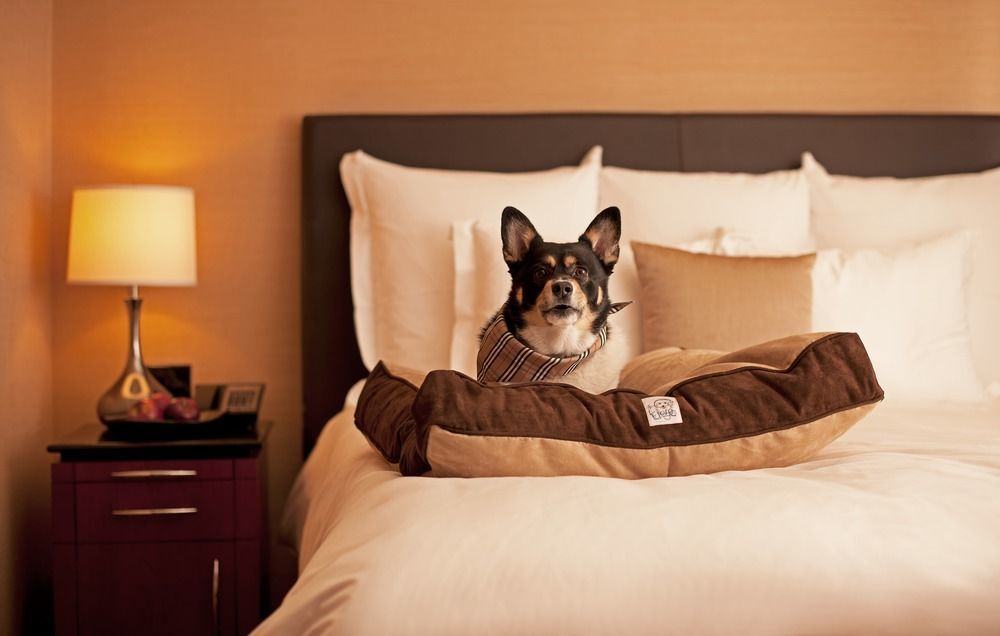 Hyatt Place Sterling Dulles Airport North Kültér fotó